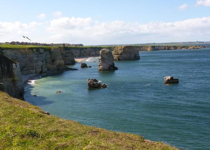 Apartament Cosy Haven South Shields Zewnętrze zdjęcie